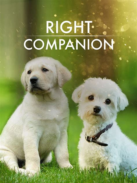 The Right Companion (2007) film online,Sorry I can't describes this movie actress